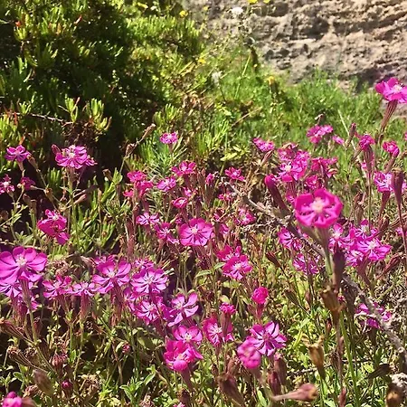 Pensionat Dei Cristalli