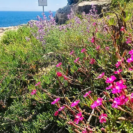 Pensionat Dei Cristalli