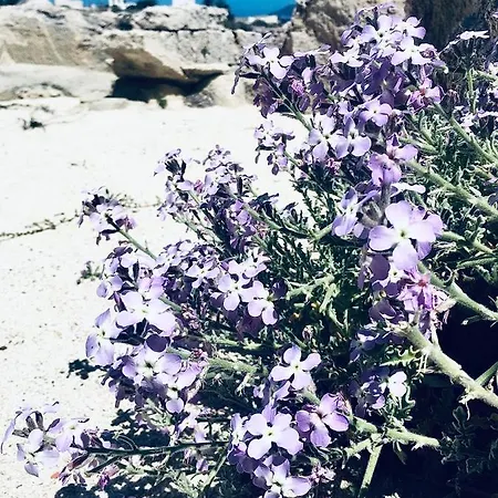 Pensionat Dei Cristalli Favignana