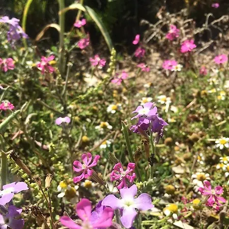 Pensionat Dei Cristalli 3*