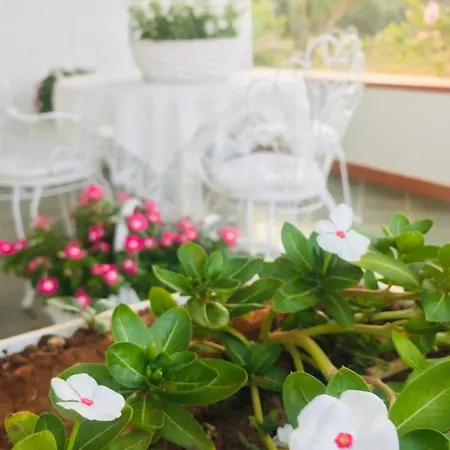 Pensionat Dei Cristalli Favignana