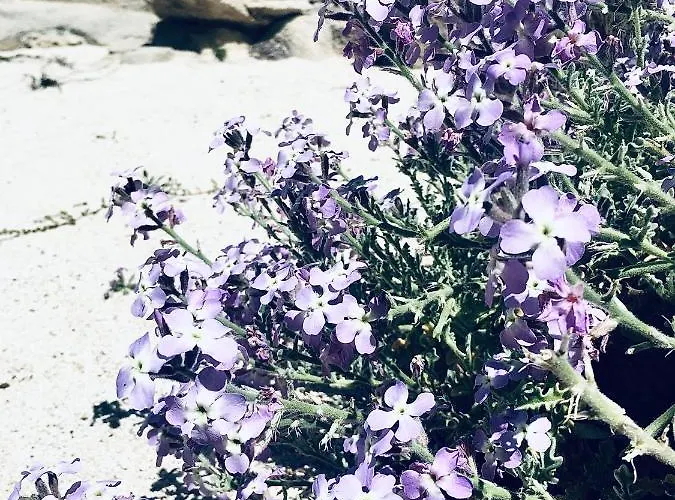 Vendégház Dei Cristalli Favignana