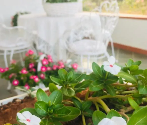 Vendégház Dei Cristalli Favignana
